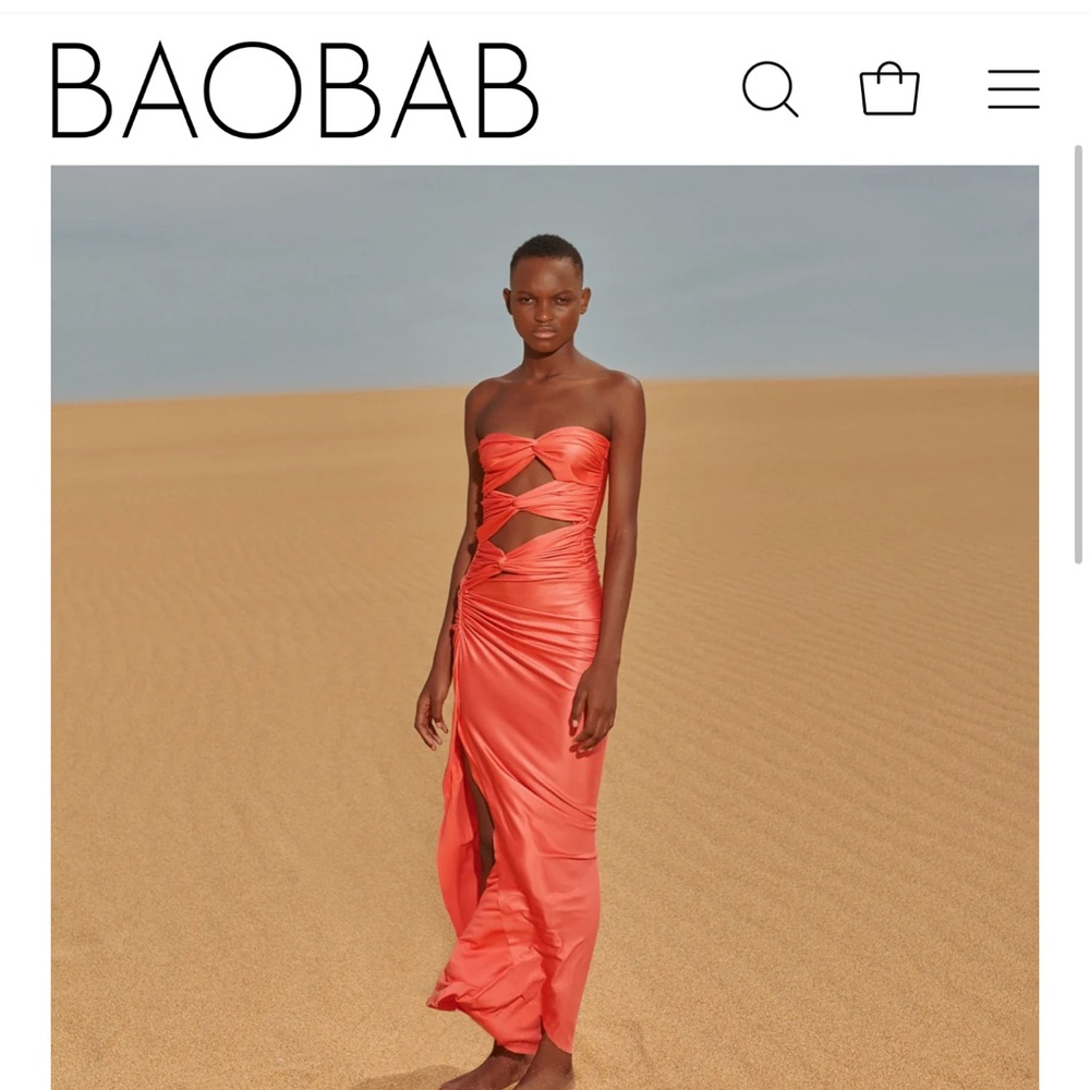 Baobab Vera maxi stunning dress